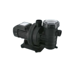 PUMP, 1 HP MONO ATLASPOOL